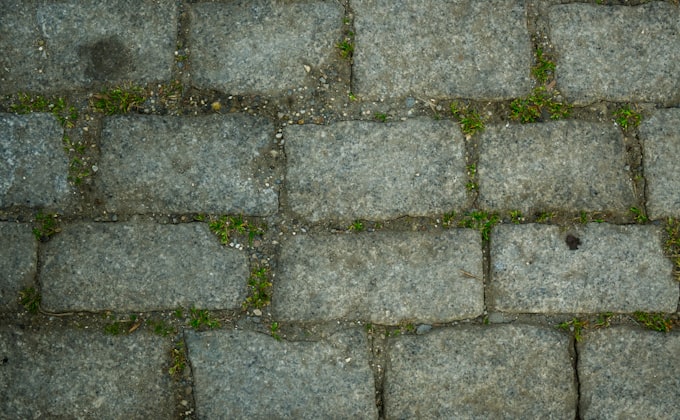 Cobblestone paving with grass growing between the joints