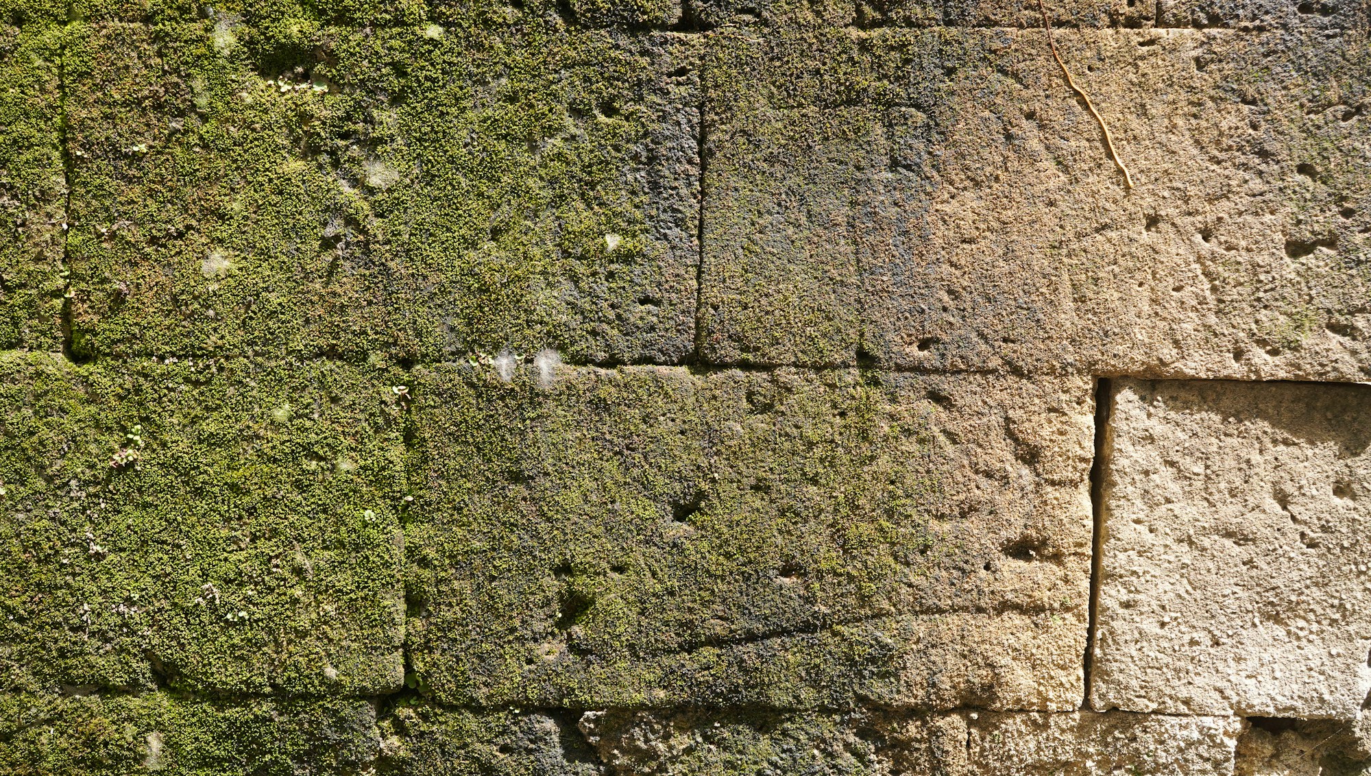 A close-up of moss colonising weathered stone, the patina of time
