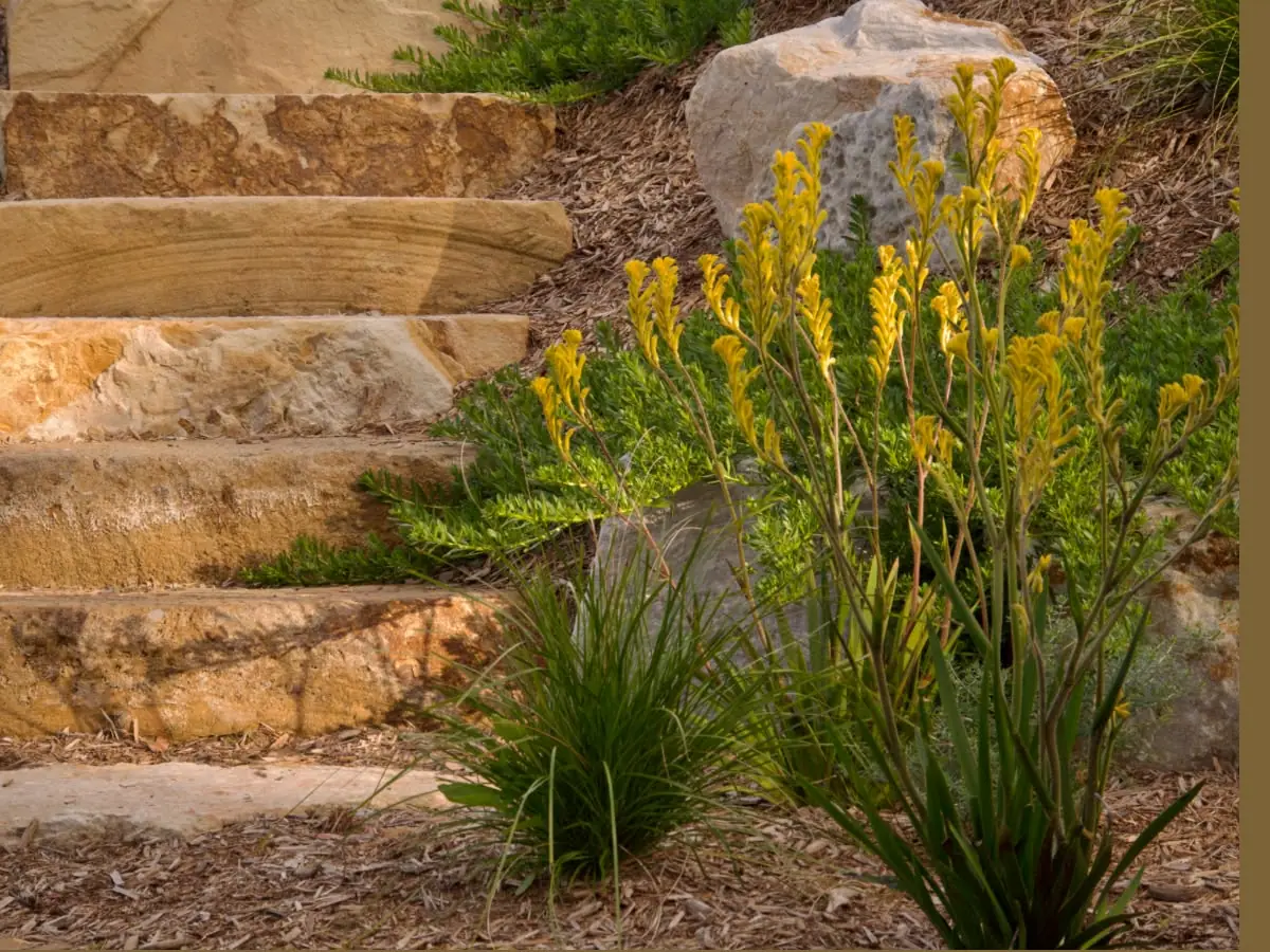 Valdora Acreage grown in 1
